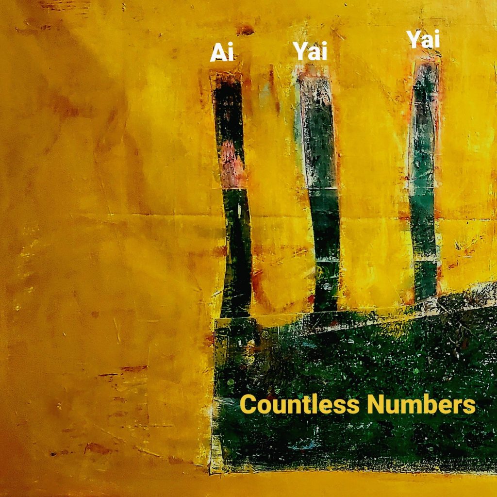 Ai Yai Yai - Countless Numbers 3k